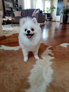 Φωτογραφία από το άλμπουμ του Pousada Confraria da Terra σε Campos do Jordão +99 φωτογραφίες