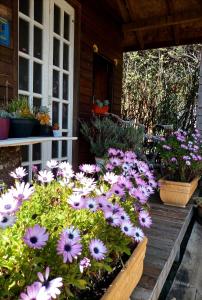 Φωτογραφία από το άλμπουμ του Pousada Confraria da Terra σε Campos do Jordão