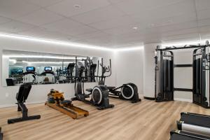Fitness centrum a/nebo fitness zařízení v ubytování SOHO Hotel Auckland