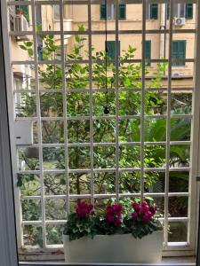 En have udenfor Room 76