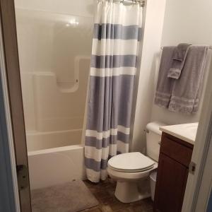 a bathroom with a toilet and a shower curtain at The Lodge at Lyman's in Houghton Lake