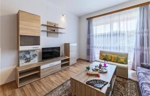 Una sala de estar con un sofá y un televisor. en 1 Bedroom Stunning Apartment In Labin, en Labin