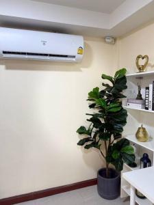 ภาพในคลังภาพของ 10MIN 曼谷独栋Chatuchack,Kasetsart精品别墅 MYSTORY HOUSE ในBan O Pao