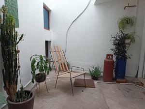 a patio with a chair and potted plants at Alojamiento Yolo in San Martín de las Pirámides