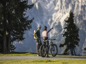 Gäste, die in der Unterkunft Apartment in Saalfelden near Ski Slopes übernachten