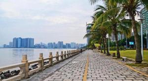 a sidewalk with palm trees next to a body of water at Downtown Hotel in Zhuhai