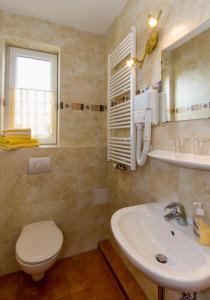 a bathroom with a toilet and a sink at Pension Zum-Ratsherrn in Friedrichroda