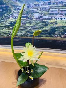 Atour Hotel Suzhou Jinji Lake Expo Center في سوتشو: وردة بيضاء في مزهرية سوداء على طاولة