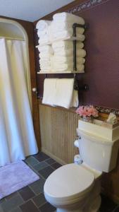 a bathroom with a toilet and a shower with towels at Grandview Gambrel in Rochester +65 photos