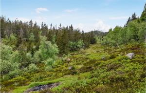 a grassy hill with trees on the side of it at 5 Bedroom Cozy Home In Lifjell in Lifjell