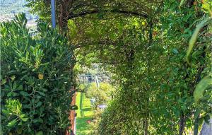 A garden outside Stunning Home In Celle Ligure Sv,