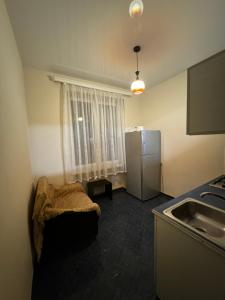 第比利斯Tbilisi pekini avenue Saburtalo的带冰箱和水槽的小厨房