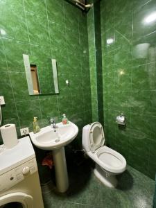 第比利斯Tbilisi pekini avenue Saburtalo的带马桶和水槽的绿色浴室