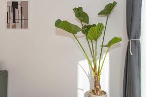 Fotografie z fotogalerie ubytování Dali Jishi Hotel v destinaci Ta-li