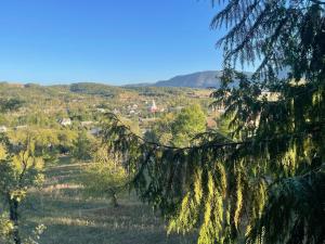 Gallery image of Chalet Pia in Vad