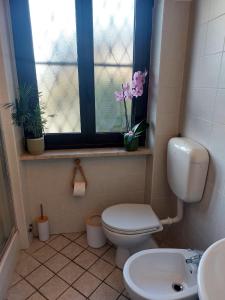 a bathroom with a toilet and a window with flowers at APPARTAMENTO CHEMIN DE FER in Saint Vincent +49 photos
