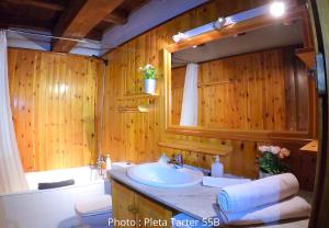 a bathroom with wooden walls and a sink and a toilet at AC Apartaments Tarter Chalet in El Tarter