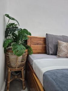 a plant in a basket sitting next to a bed at Juliana HomeStay in Dorobanggo