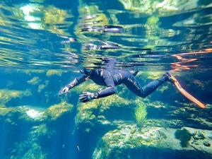 a person in a wetsuit swimming in the water at Kilsby Sinkhole & Accommodation in Mount Schank