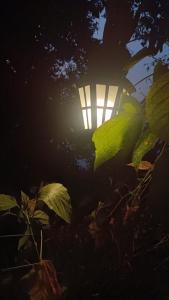 Afbeelding uit fotogalerij van Aam's Courtyard in Kalimpong