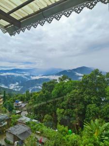 Příroda nedaleko penzionu + 27 fotografií