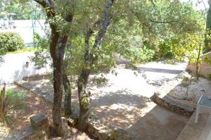 a tree in the middle of a yard at Le Patio Bleu in La Crau