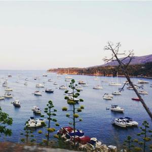 Príroda v okolí apartmánu
