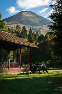 a couple of horses running in front of a house at Portnellan in Crianlarich