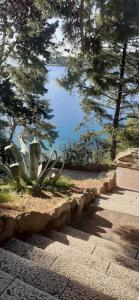 a view of a body of water with trees at Apartments Zlata In the Heart of the Old Town, Close to the Beach in Rab