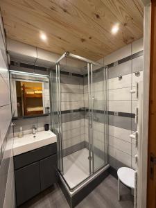 a bathroom with a shower and a sink at Mottaret - 2 pièces - Pied des pistes avec vue - Parking in Les Allues +40 photos