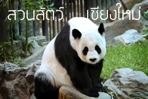 Động vật gần/tại căn hộ