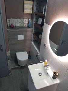 a bathroom with a white sink and a mirror at Les Souchottes, charmante maisonnette in Bulligny