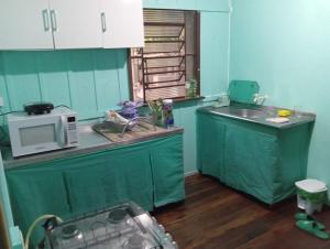 a kitchen with green cabinets and a microwave at MICRO CASA DE SITIO DO TIO Tonho in Blumenau +20 photos