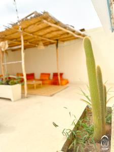 Foto Agadiris asuva majutusasutuse Eco Bay Surf House galeriist