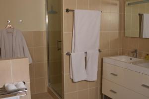 a bathroom with a shower and a white towel at Château Hôtel de Warenghien in Douai