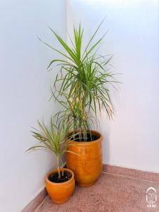 Foto Agadiris asuva majutusasutuse Eco Bay Surf House galeriist