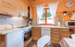 Kuchyň nebo kuchyňský kout v ubytování Pet Friendly Home In Licki Osik