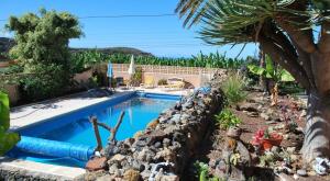 a swimming pool in a backyard with a palm tree at Confortable Estudio con Terraza, Piscina y Bbq in Icod de los Vinos