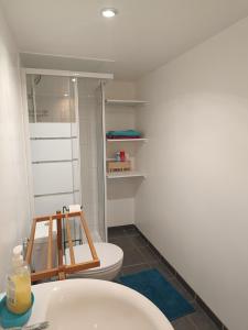a bathroom with a white toilet and a sink at Studio privé à la campagne in Guillerval