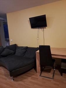 a living room with a couch and a television on a wall at 2 Raumwohnung in Leipzig in Leipzig