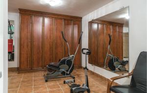Fitness centrum a/nebo fitness zařízení v ubytování Stunning Home In Trbounje With Sauna