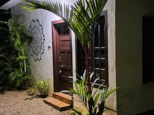 Mad about Coco Yoga & Beach Retreat外面的花园