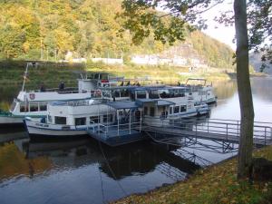 zwei Boote, die an einem Dock auf einem Fluss angedockt sind in der Unterkunft Apartments Mirror in Krásná Lípa