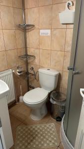 Ένα μπάνιο στο Pensiunea La Mesteceni -Zur Birke, Poiana Marului-Caras Severin