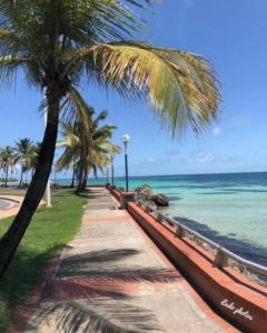 Gambar di galeri bagi BungaBlue à 8 mn de plage Ste Anne di Sainte-Anne
