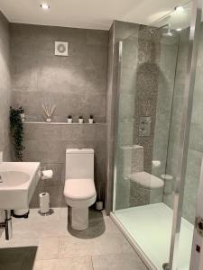 Un baño con inodoro, ducha y lavabo. en Richmond House by Staytor Accommodation, en Exeter 8 fotos más