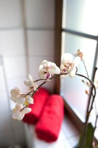 Posezení v ubytování Hotel Rosenhof Garni