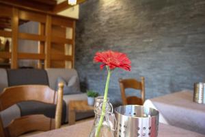Posezení v ubytování Hotel Rosenhof Garni