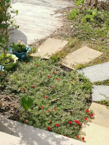 Gallery image of WanaleesiriHouse in Ban Khlong Lat Bua Khao