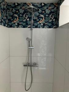a shower with a shower head in a bathroom at Wohnen auf Zeit in Wittlich +15 photos